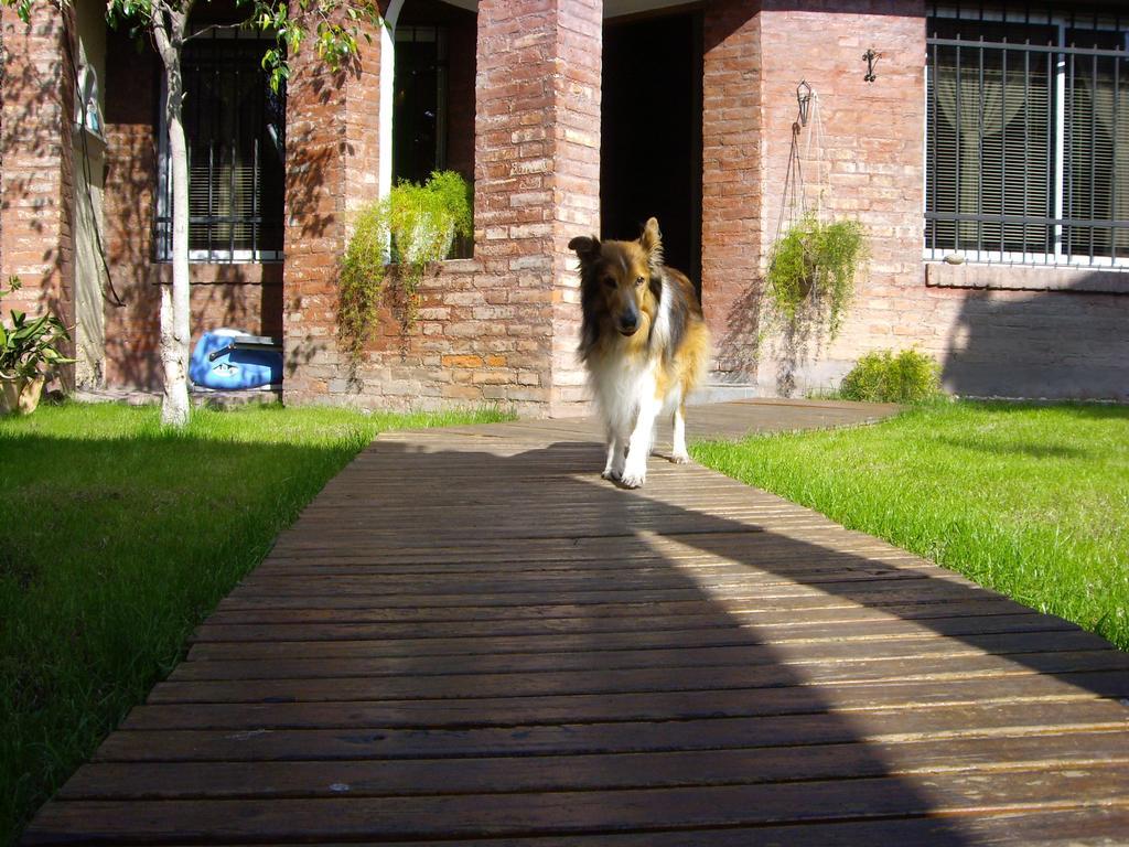 Villa Casa Mapocha Mendoza Exterior foto